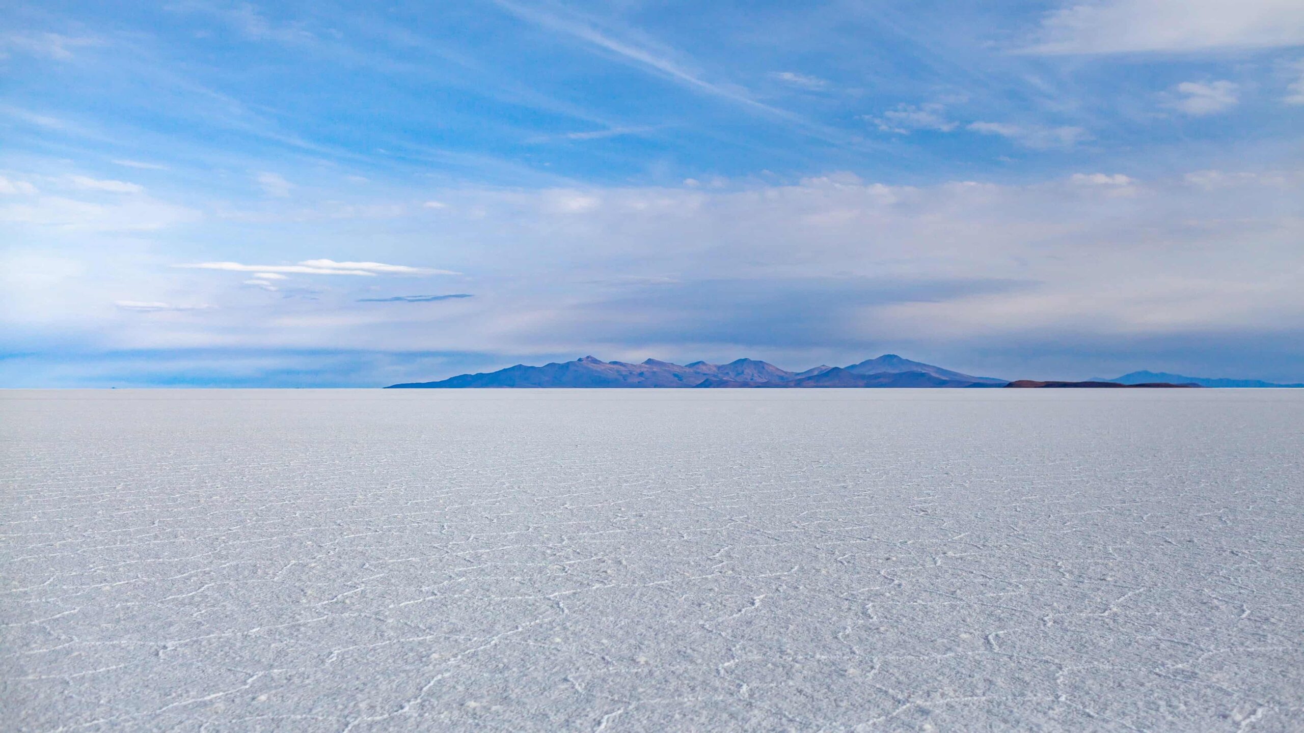 Salt flat Bishop