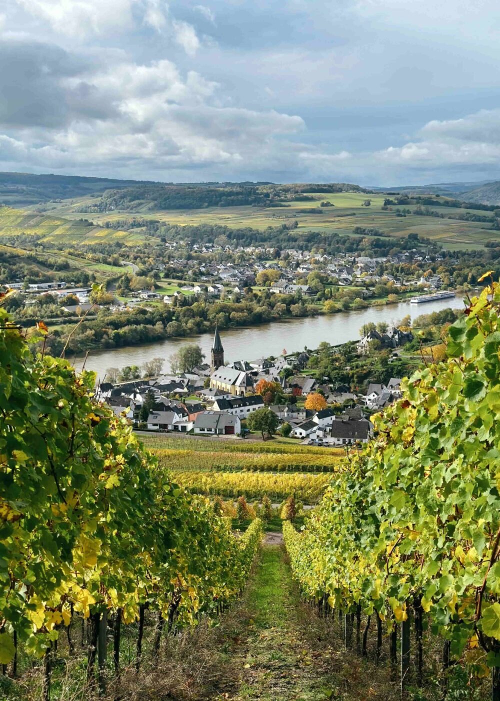 Wijn moezel - Cochem