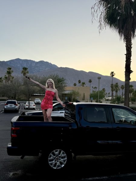 Palm Springs VS Boukje Keizer - Accommodatie